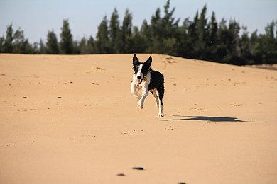 工作室领导退出后 微软重构了343领导层团队